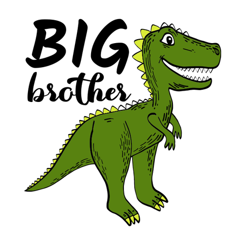 Tričko pre súrodencov Big brother