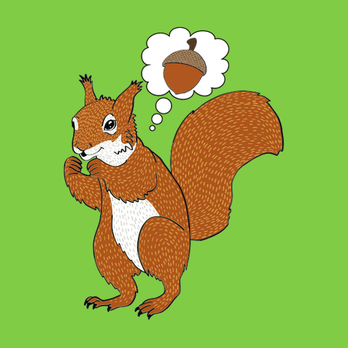Párové tričko Veverička