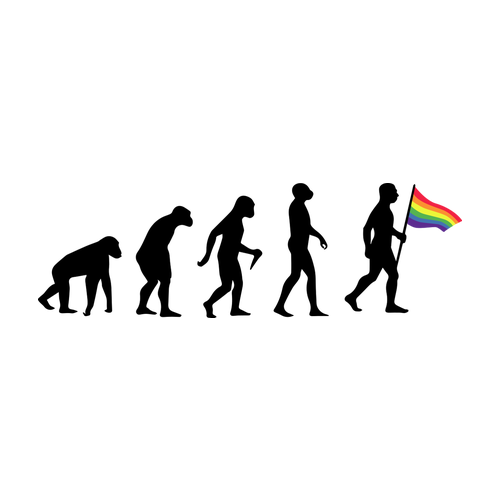 LGBT mikina Evolution