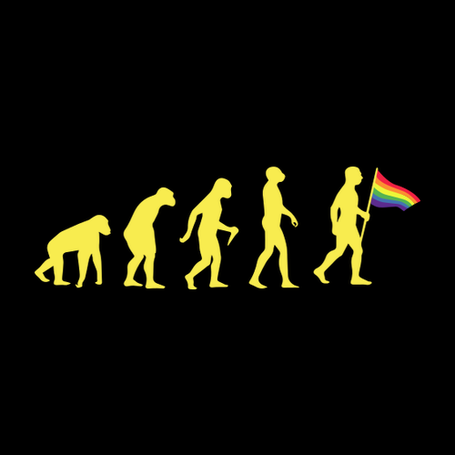 Dámske tričko LGBT Evolution